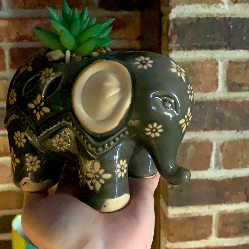 Grey and cream colored elephant. Faux succulent.